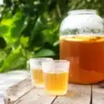 A refreshing bottle of Kombucha tea showcasing its probiotic benefits.